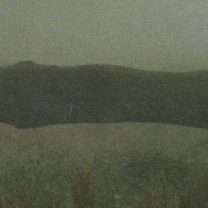 Meet your Posher, Willa